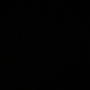 Meet your Posher, Bob